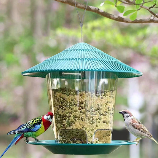 Hanging Wild Bird Feeder Transparent Seed Feeder for Outdoor Garden & Backyard