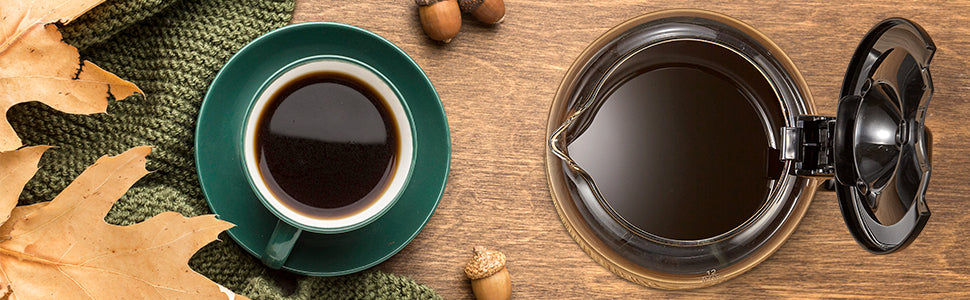 HomeBrew Pro Programmable Drip Coffee Maker - 12 Cup Capacity with Iced Coffee Function & Touchscreen