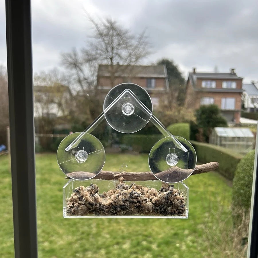 Transparent Window Bird Feeder with Strong Suction Cups for Wild Birds