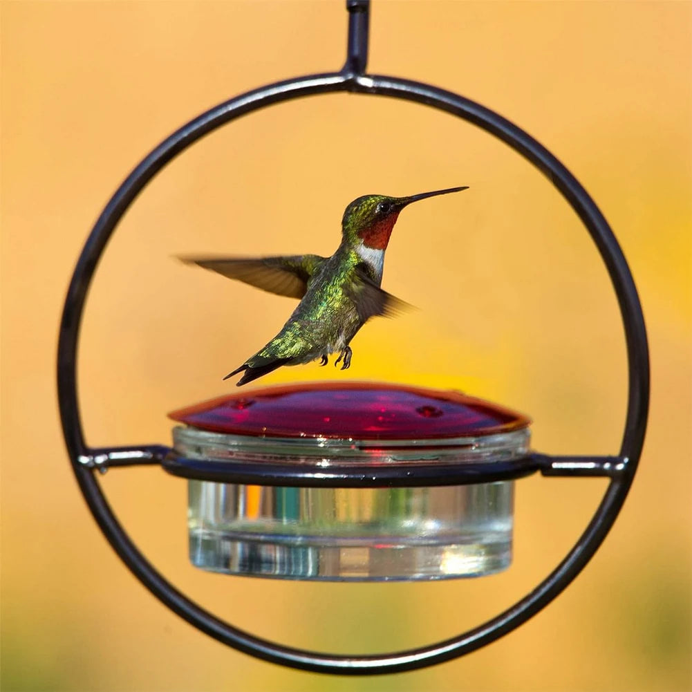 Circular Hanging Hummingbird Feeder – Bee & Ant Proof with Red Glass Bowl, Easy Clean, Outdoor Bird Feeder for Garden, Patio, Deck