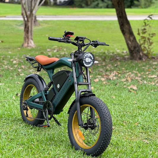 Smartravel 1200W Electric Bike for Adults – 48V 25Ah Battery, APP Control, Full Suspension Fat Tire E-Bike with GPS Tracking & Hydraulic Brakes