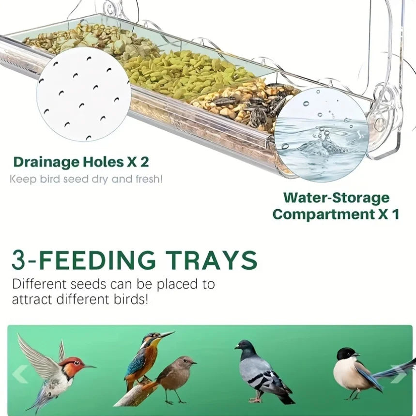Large Window Bird Feeder with Strong Suction Cups & Removable Seed Tray