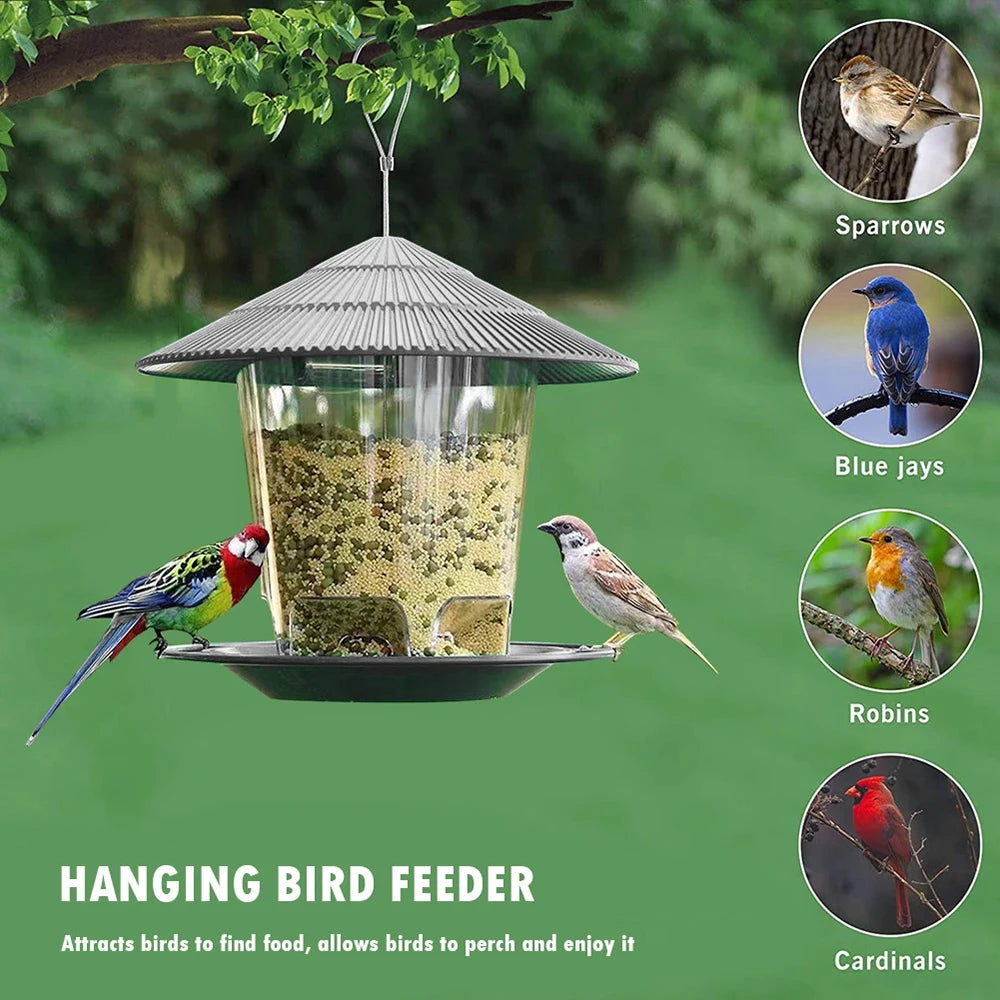 Hanging Wild Bird Feeder Transparent Seed Feeder for Outdoor Garden & Backyard