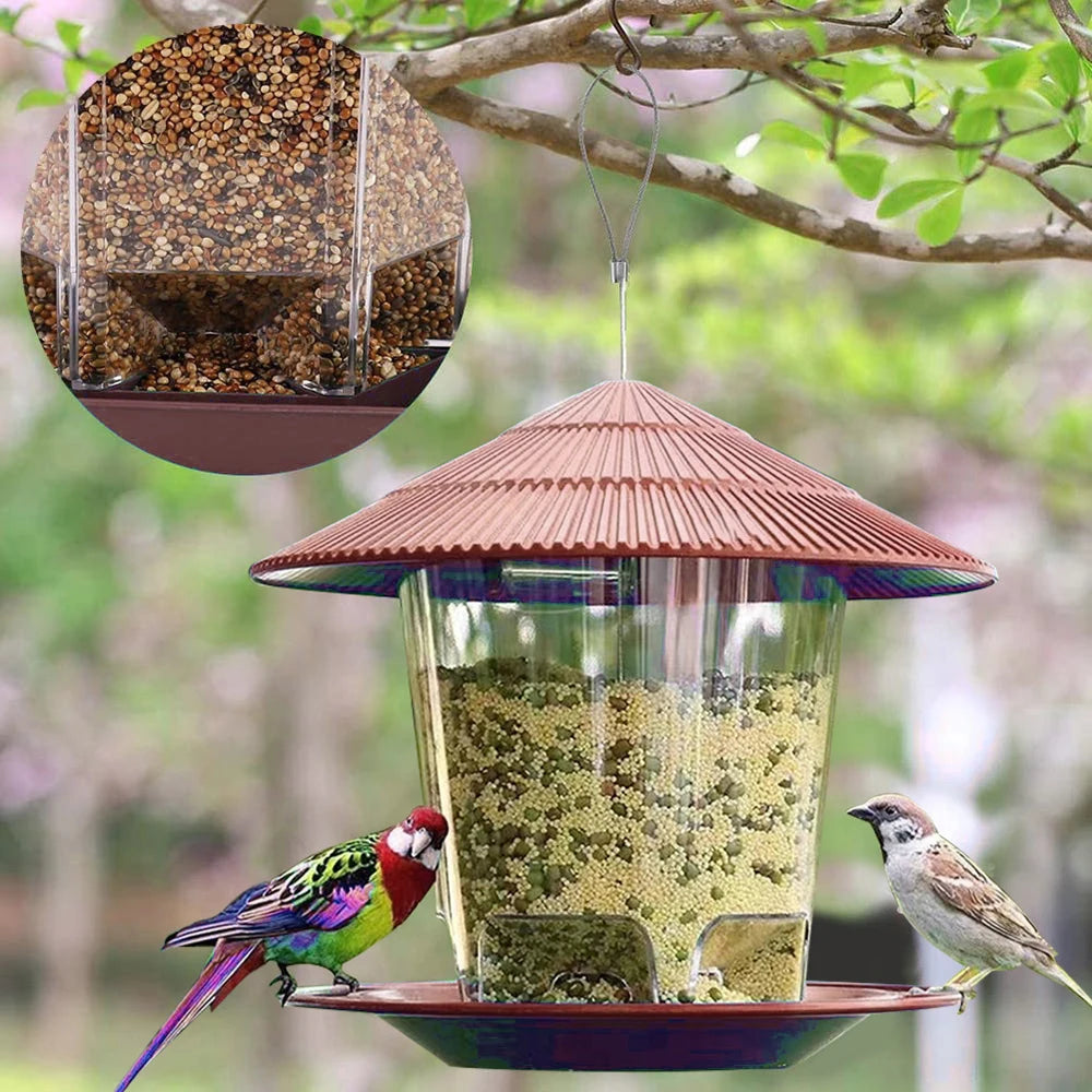 Hanging Wild Bird Feeder Transparent Seed Feeder for Outdoor Garden & Backyard