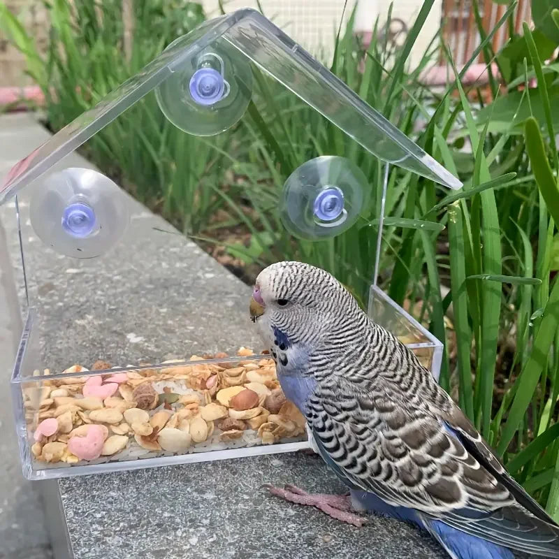 Transparent Window Bird Feeder with Strong Suction Cups for Wild Birds