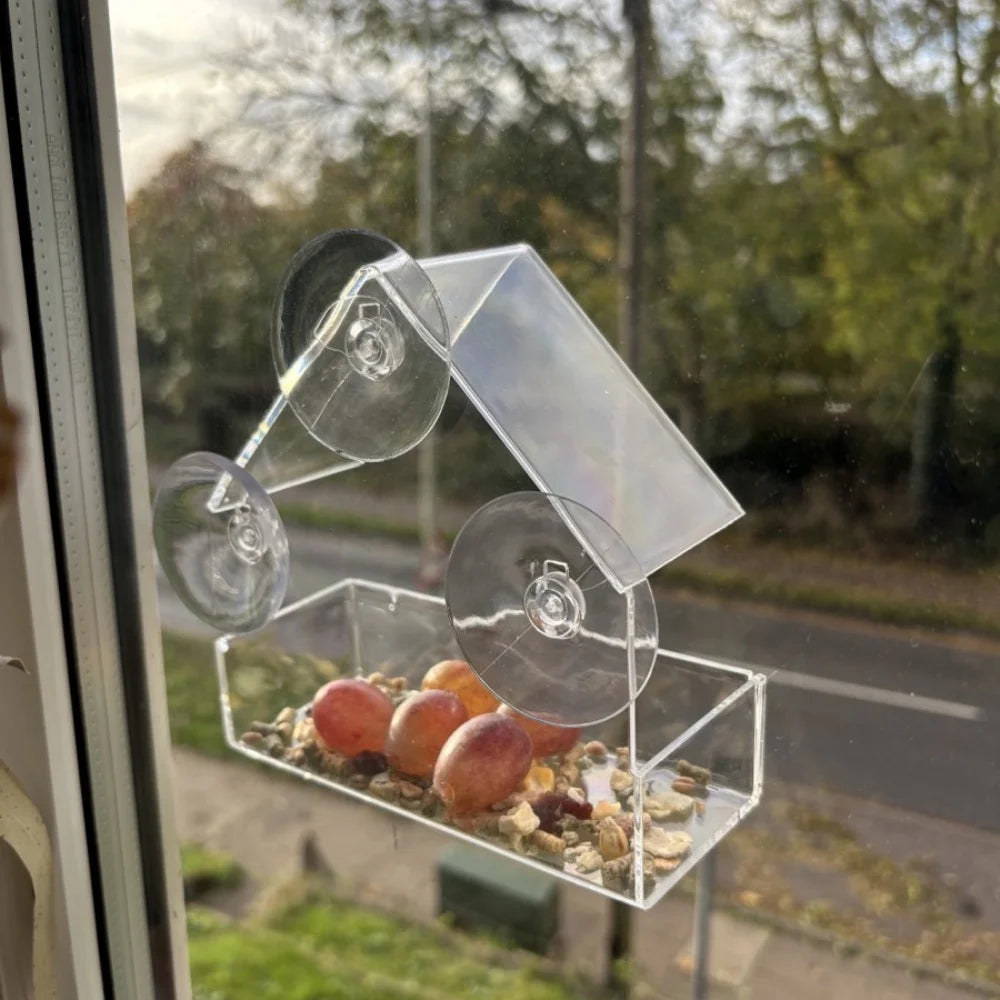 Transparent Window Bird Feeder with Strong Suction Cups for Wild Birds