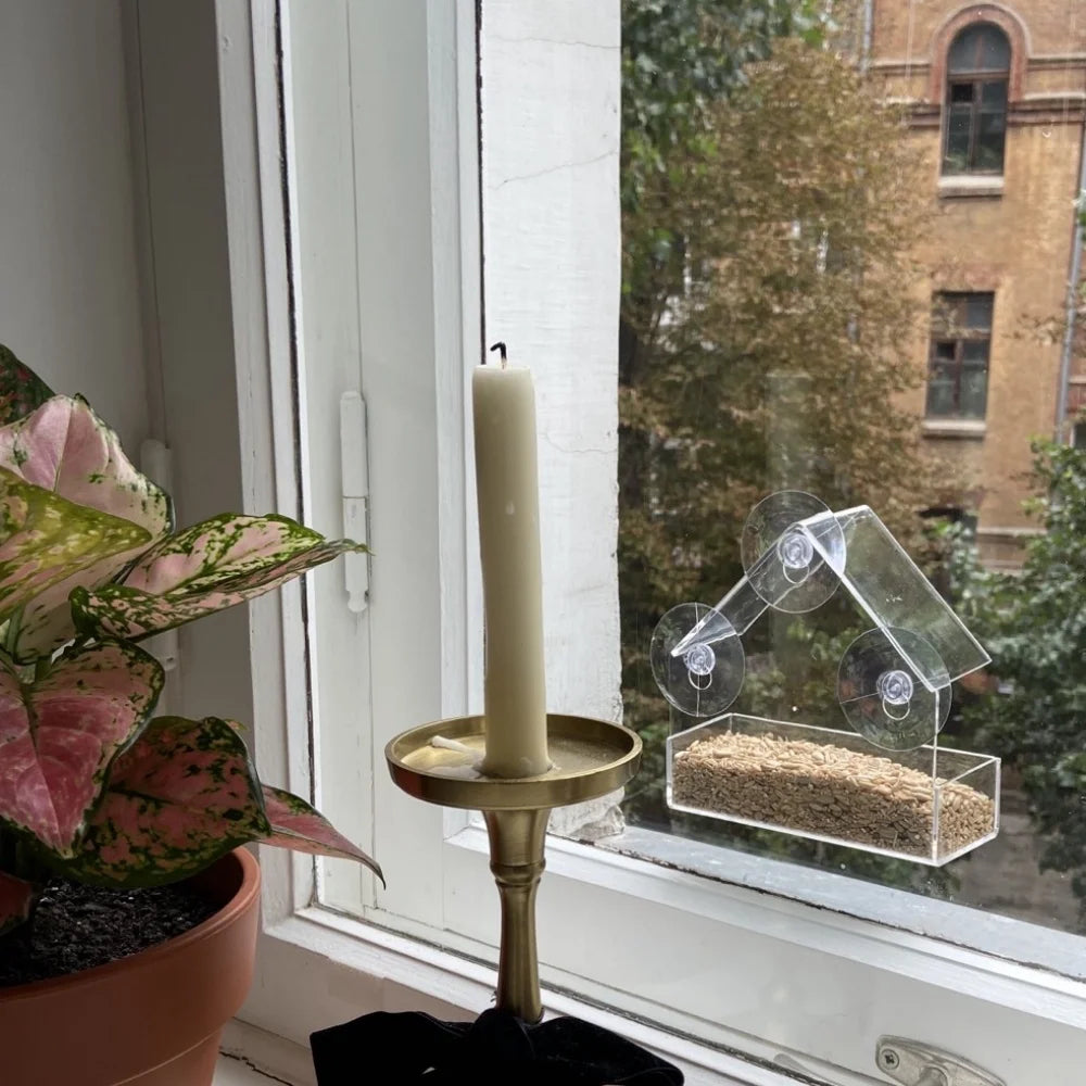 Transparent Window Bird Feeder with Strong Suction Cups for Wild Birds
