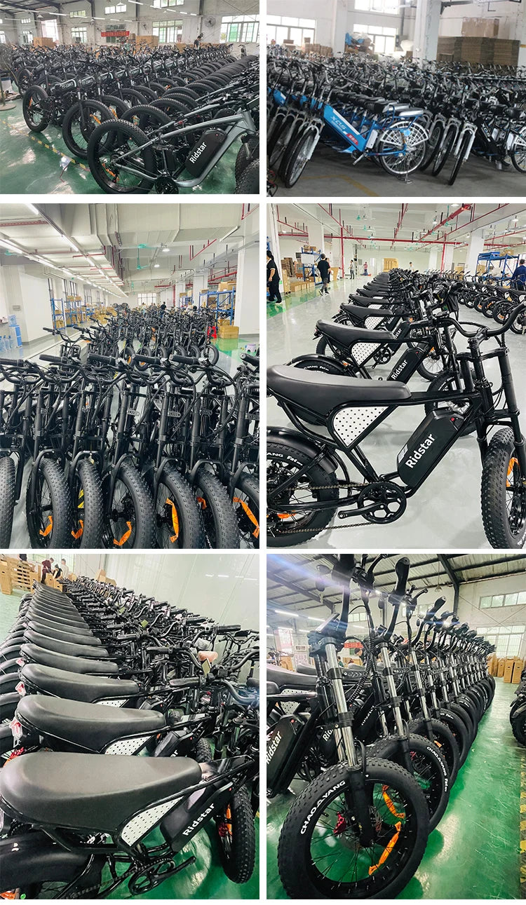 Ridstar Q20 Lite Electric Bike 1200W Peak Motor 20” Fat Tire E-Bike with 48V Battery