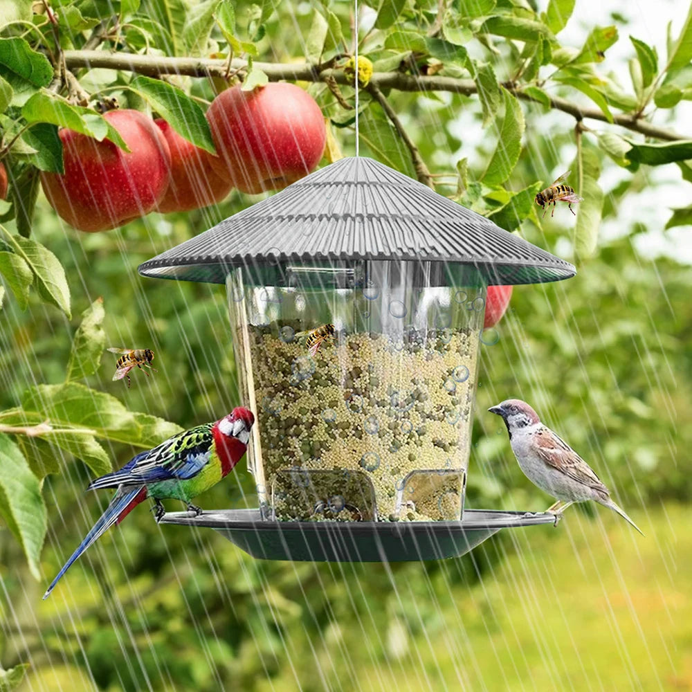 Hanging Wild Bird Feeder Transparent Seed Feeder for Outdoor Garden & Backyard