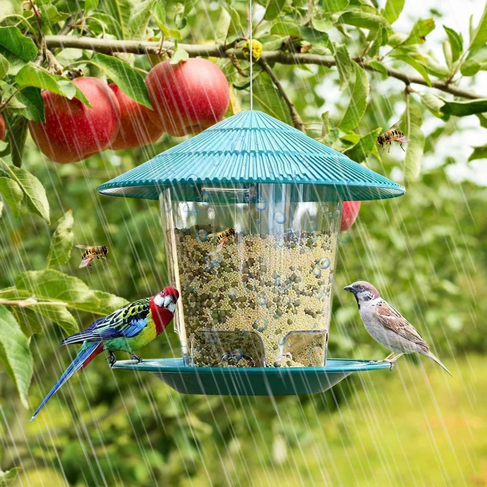 Hanging Wild Bird Feeder Transparent Seed Feeder for Outdoor Garden & Backyard