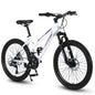 24/26” Women’s Mountain Bike – 21 Speed Steel Frame with Dual Disc Brakes