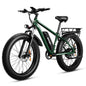 AMYET EB26 1000W Electric Bike with 26" Fat Tires & 48V Battery