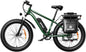 AMYET EB26 1000W Electric Bike with 26" Fat Tires & 48V Battery