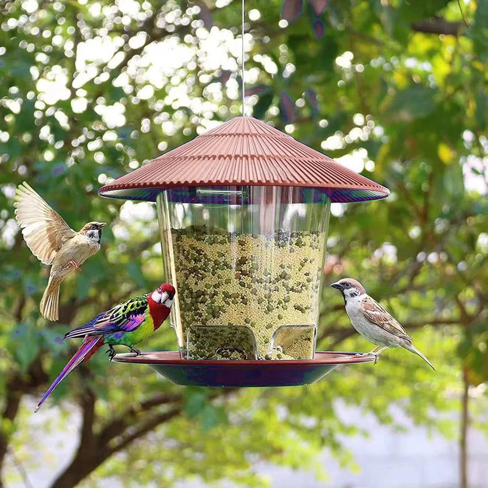 Hanging Wild Bird Feeder Transparent Seed Feeder for Outdoor Garden & Backyard