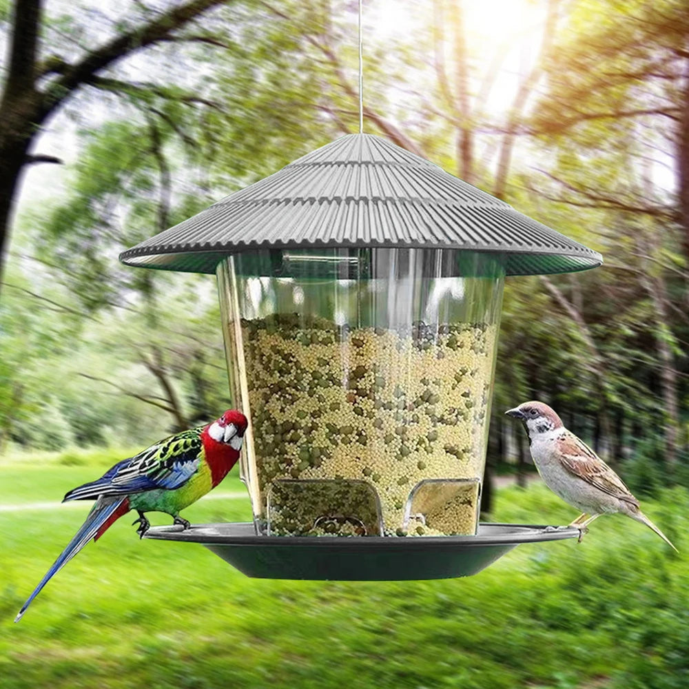 Hanging Wild Bird Feeder Transparent Seed Feeder for Outdoor Garden & Backyard