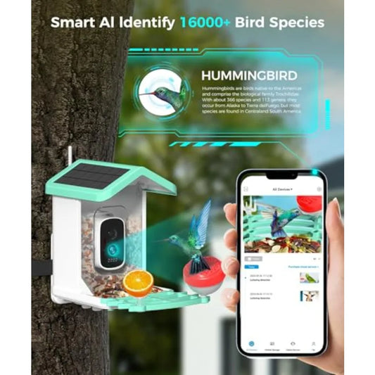 4K Smart Bird Feeder with AI Camera & Solar Power for Bird Watching