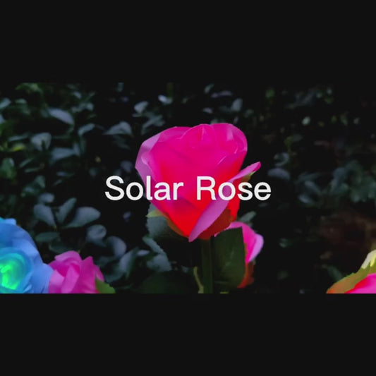 Solar Rose Lights - 7 Color Changing Outdoor Garden Decor - 4/8 Pack